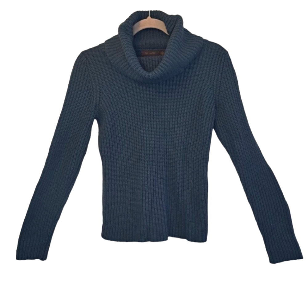The Limited Dark Teal Turtleneck Sweater Size Medium